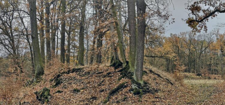 Slovanské hradiště pod oborou Aglaia